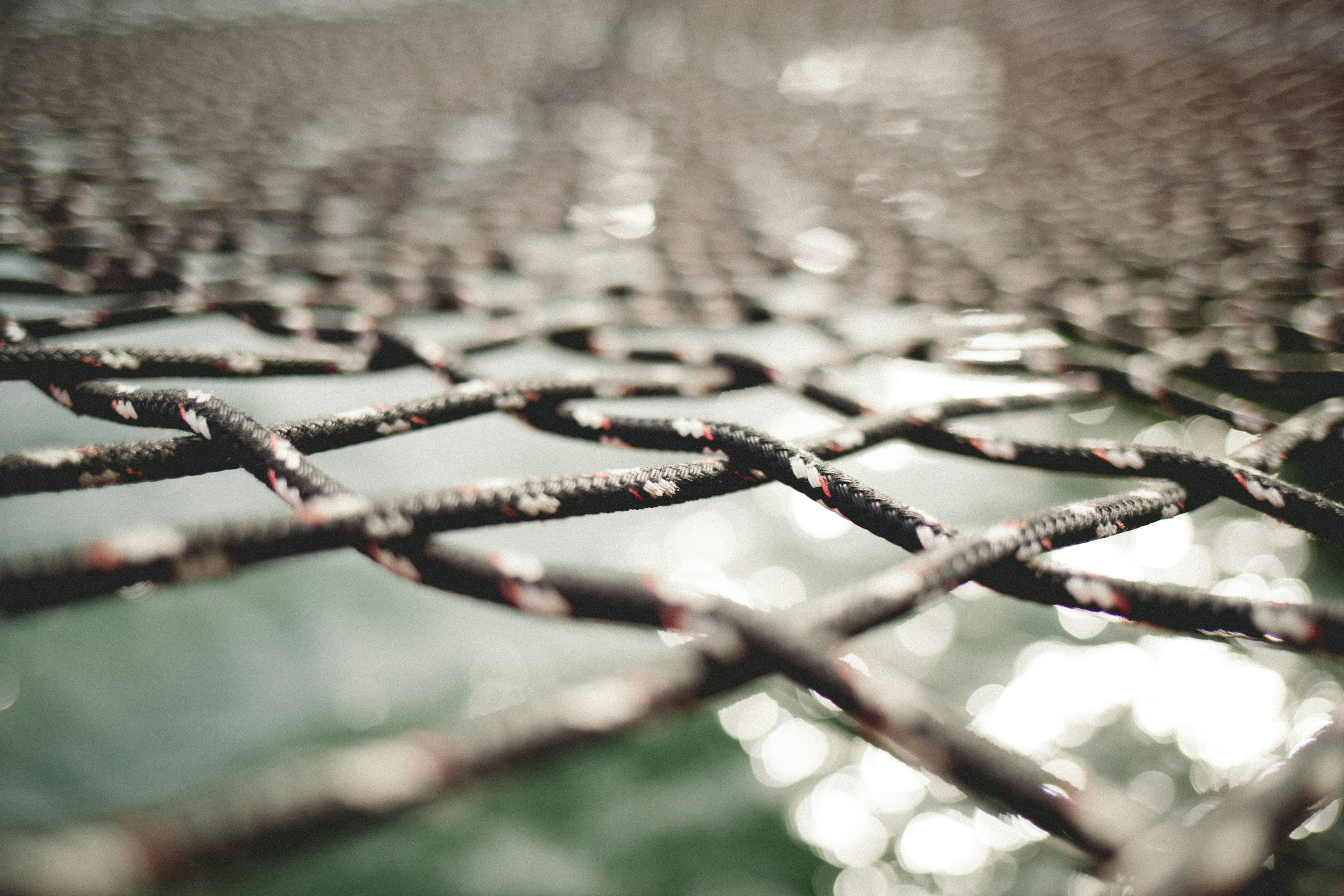 Sunlight on rigging lines